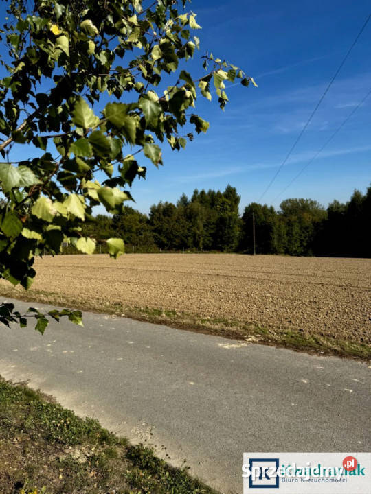 Działka 3000m2 Cierpisz budowlana
