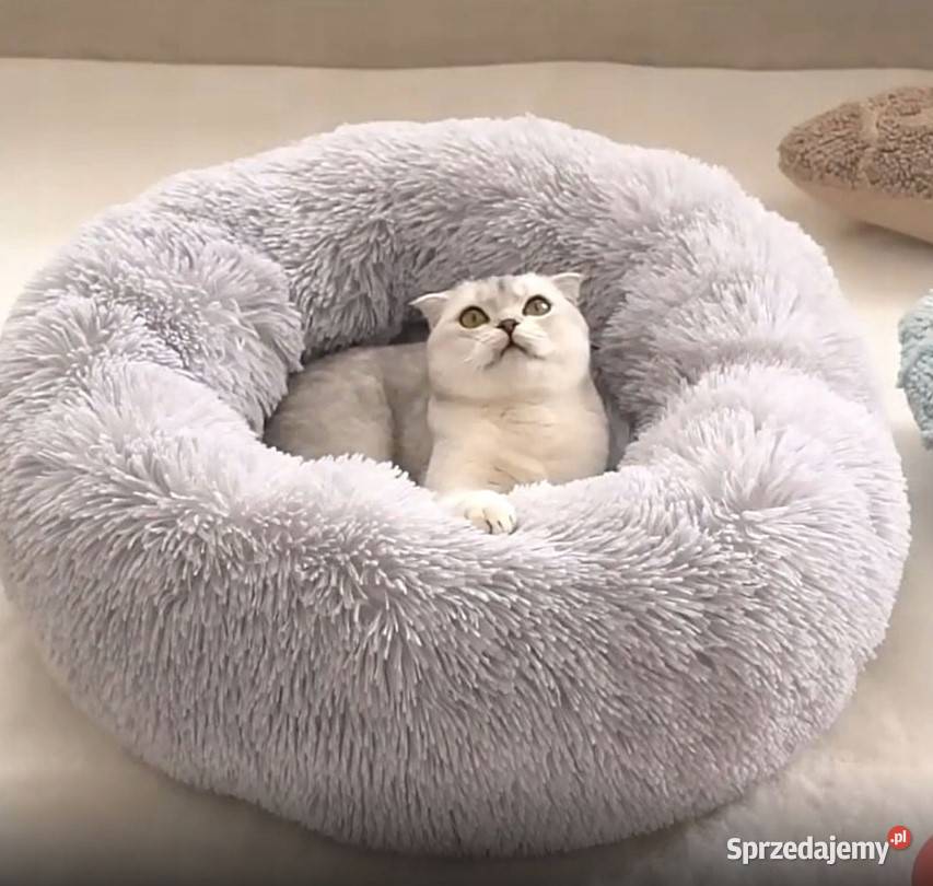 LEGOWISKO PSA KOTA PLUSZOWE PODUSZKA KOJEC Dla psów mazowieckie Warszawa