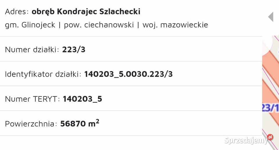 Działka z lasem trasie S7 Mazowieckie 56870m2 Kondrajec Szlachecki