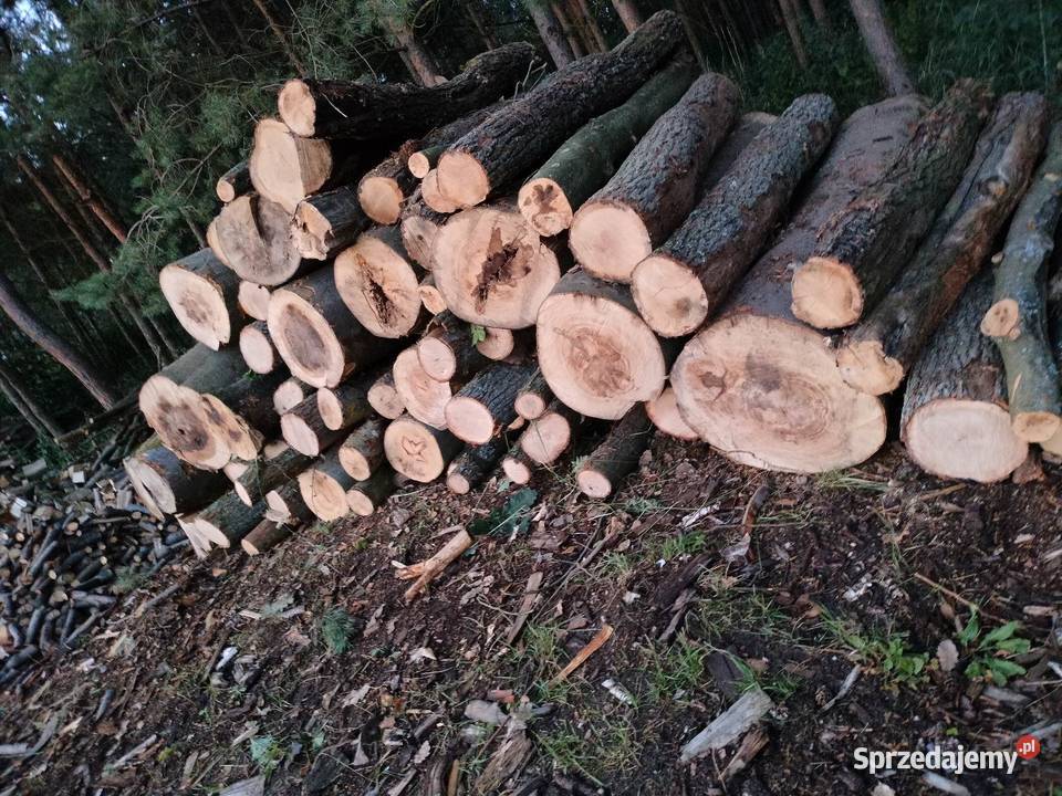 Drewno kominkowe i opalowe sprzedam