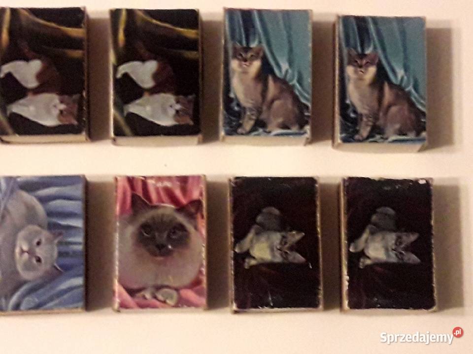 Zapałki pudełka koty i dziewczyny dwustronne PRL
