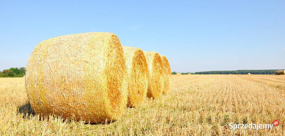 Sprzedam słome w botach Winowno