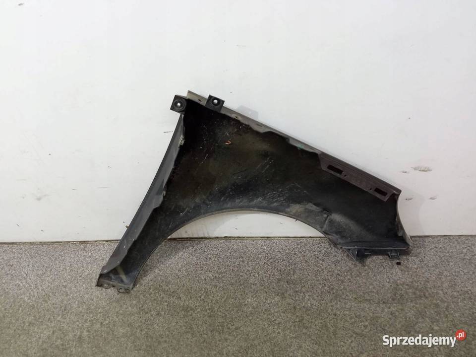 BŁOTNIK LEWY PRZÓD TECNB Renault Grand Scenic Błotniki świętokrzyskie