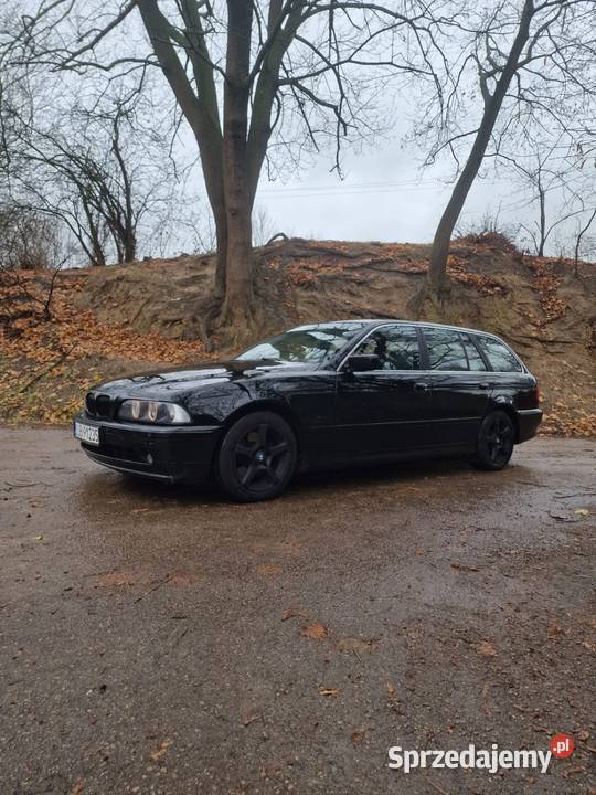 Bmw seria 5 E39 530d lift LCI Kombi Ostrowiec Świętokrzyski sprzedam