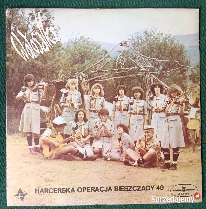 Wołosatki Harcerska operacja Bieszczady 40 40 Zbylitowska Góra