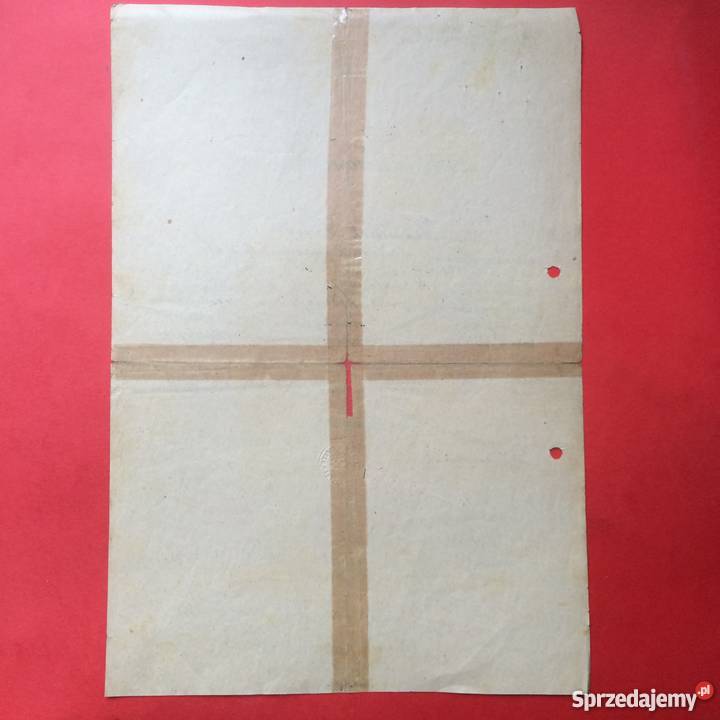 771 Lwów Świadectwo Złożonego Egzaminu Łoński Szczecin