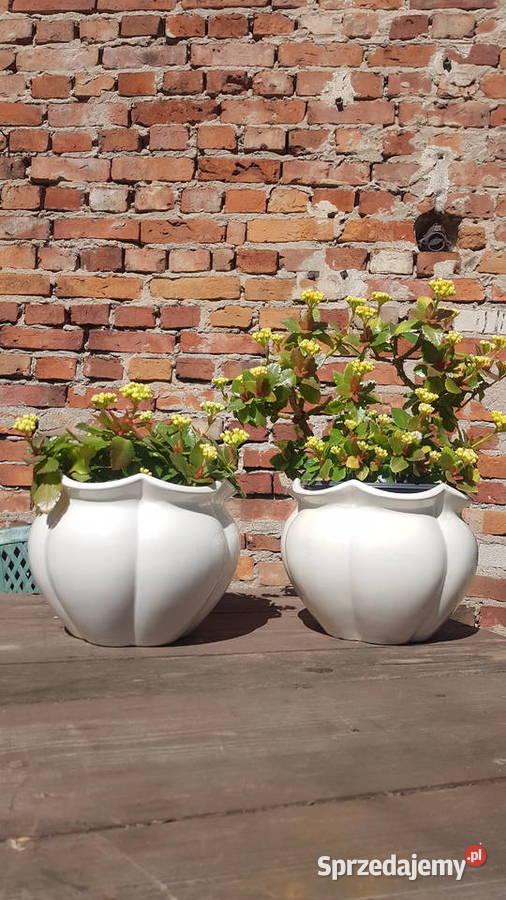 kalanchoedwie osłonki białe ceramiczne