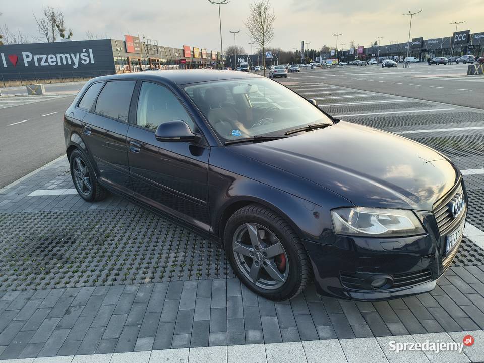 Audi A3 8P 20TDI Kormanice
