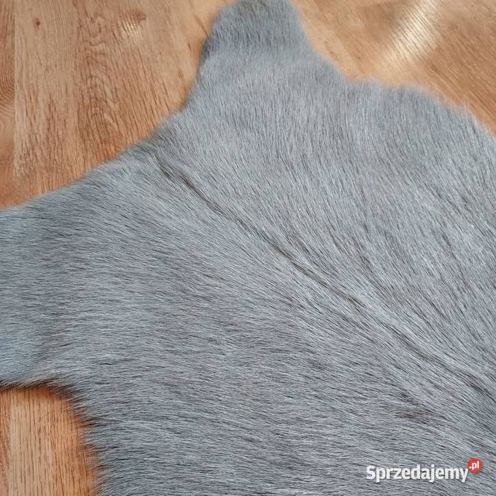 Skóra z Kozy Szara Skóry Kozie Naturalne Szare Dekoracje i ozdoby Szaflary