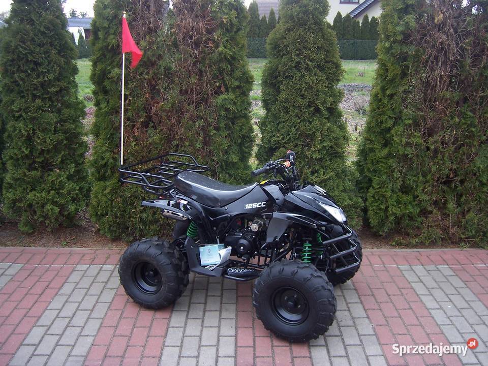 Quad raptor 125 półautomat 31 Goleniów