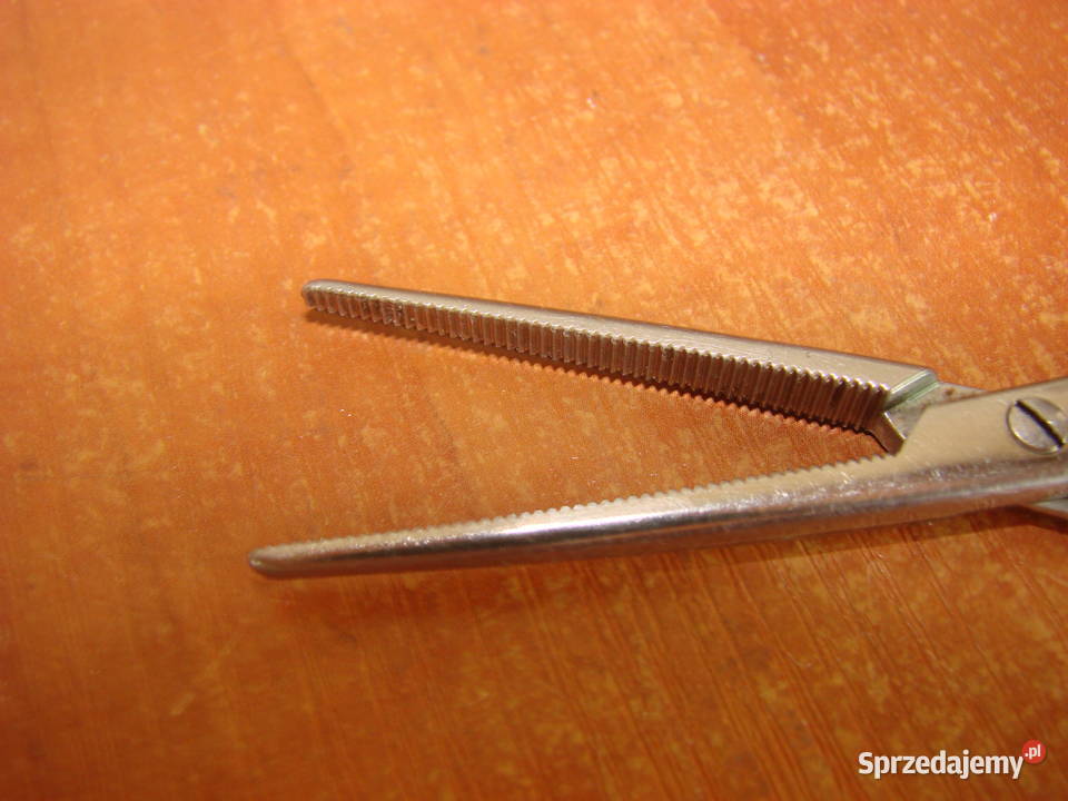 Chifa Poland kleszczyki pean Pruszcz Gdański sprzedam