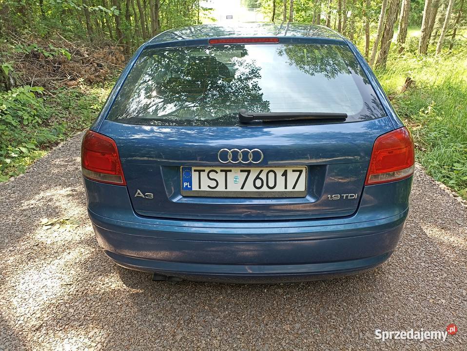Audi A3 2005 19 TDI OC i PT 012026 345000km A3 Starachowice