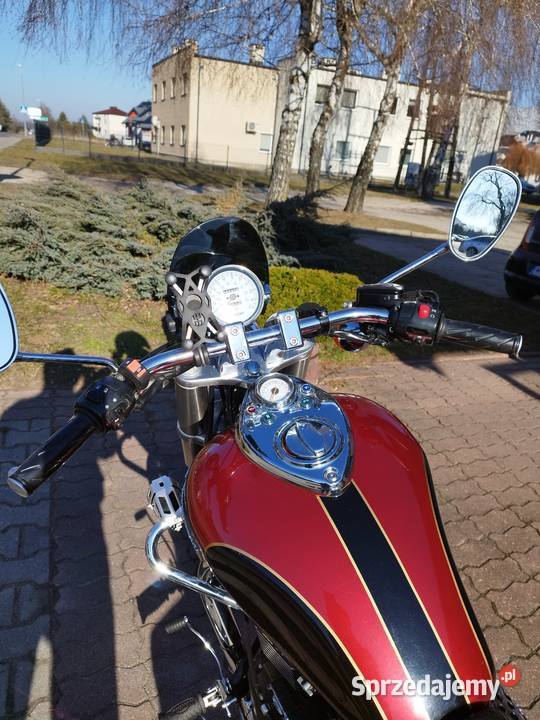 Triumph sprowadzony Triumph Trawniki