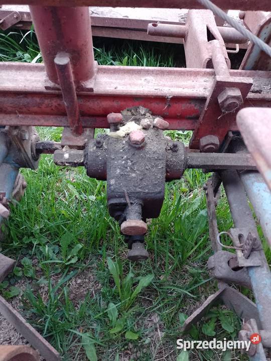 Siewnik do buraków Kosina