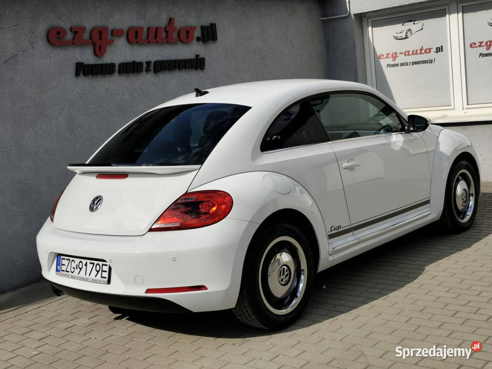 Volkswagen Beetle bezwypadkowy serwis ABS Zgierz