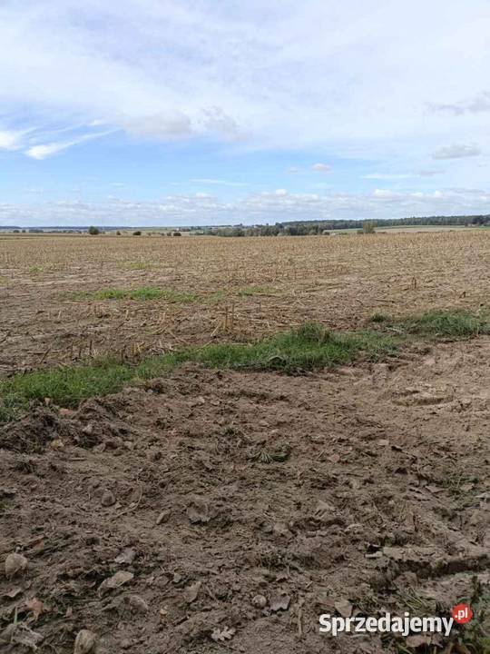 Sprzedam działkę budowlaną w Wierciszowie 42m