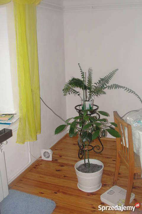 Dom Okazja Strzeszyn Biecz do zamieszkania Strzeszyn