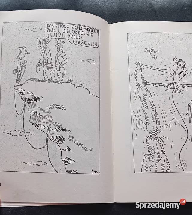 Witold Sas Nowosielski ja kocham te góry Text Koźminek