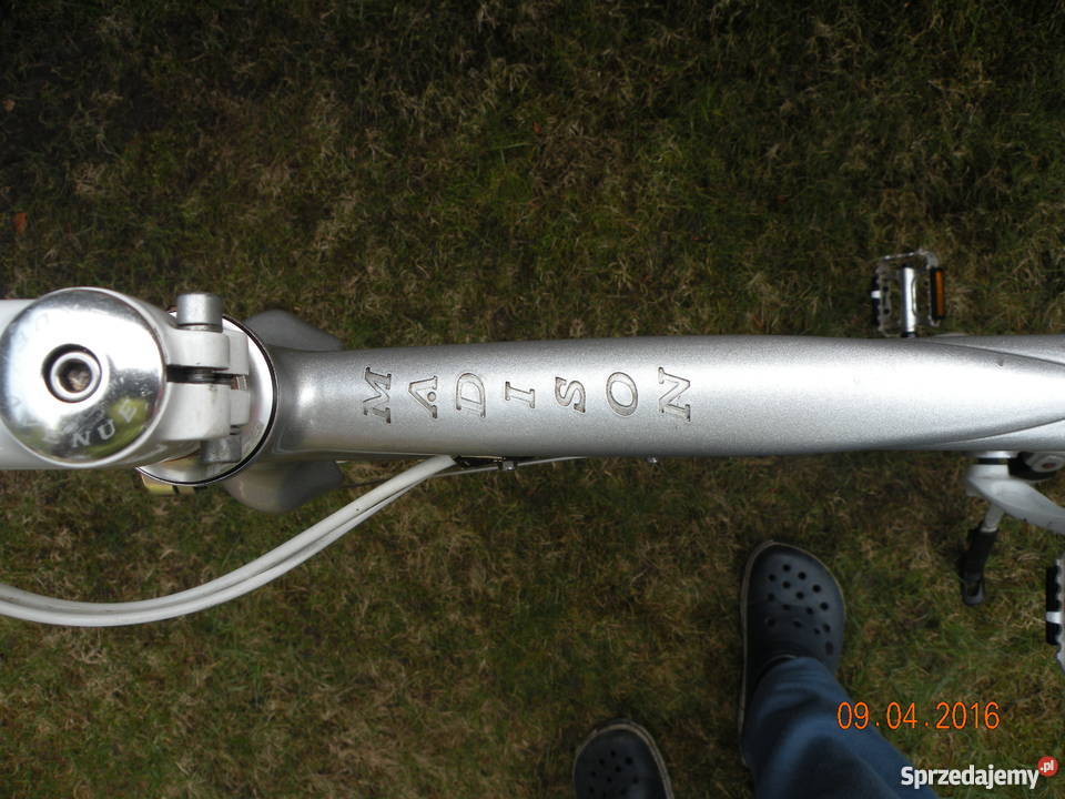 Rower Avenue Madison Gdańsk sprzedam