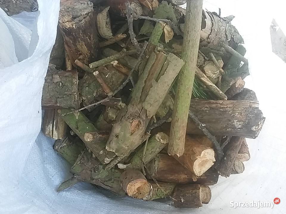 Opał zrębki sosnowe suche Kołobrzeg