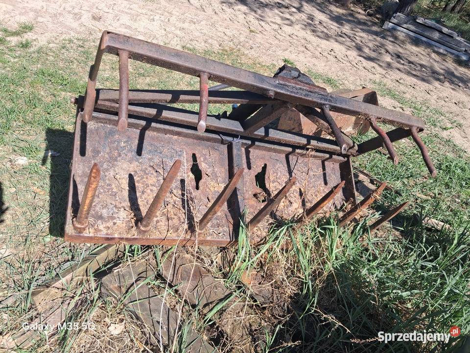 Krokodyl Burzenin sprzedam