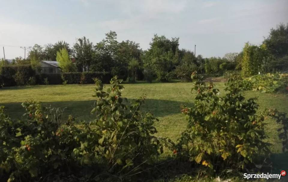 ogródek działkowy Stary Sącz 513m2