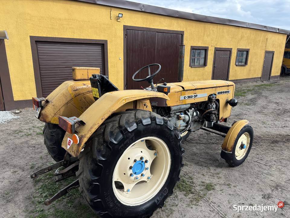 Ursus C3603p wielkopolskie Wągrowiec