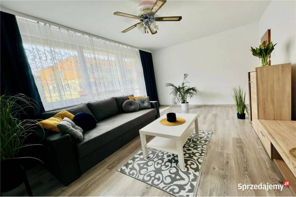 Komfortowe 3 pokoje do wynajęcia Zielona Góra