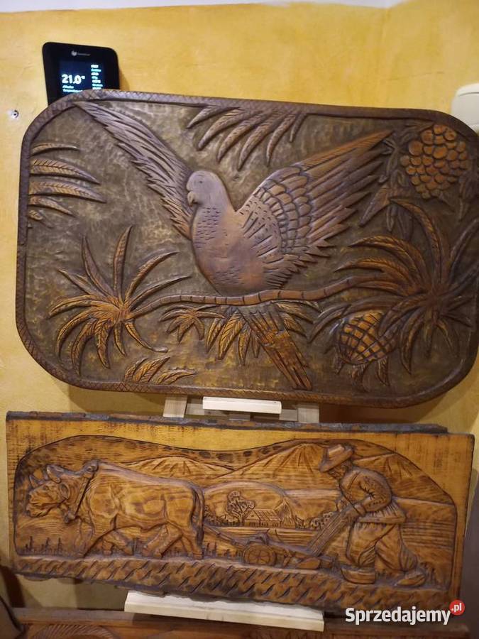 Duża płaskorzeźba z drewna Papuga Lipno