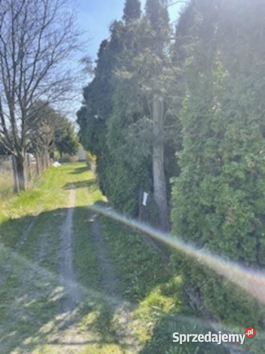 Sprzedam działke w ROD Relax Szałe rekreacyjna