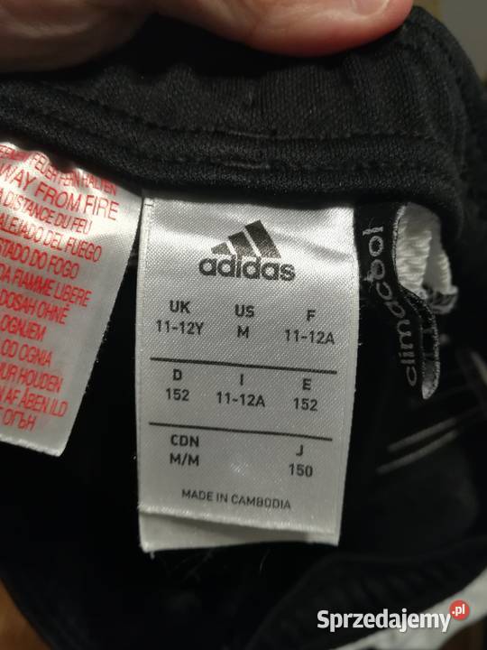 Spodnie dresowe Legia Warszawa