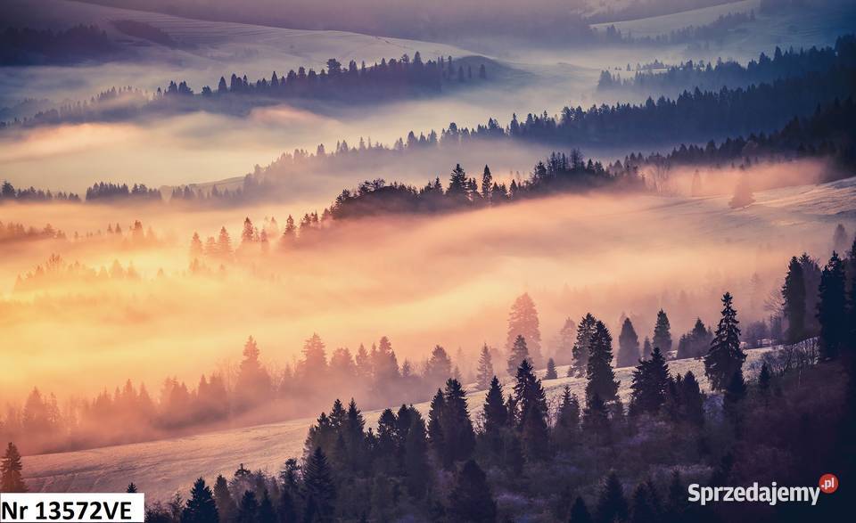 Tapeta, fototapeta Widok we mgle, lasy, góry, natura.