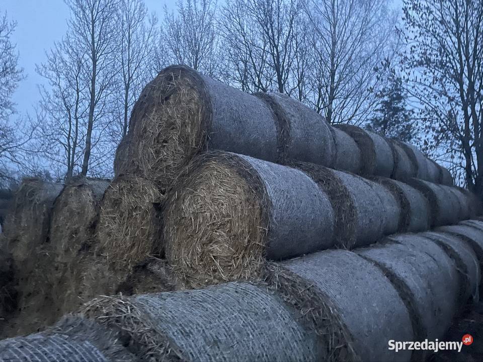 Sprzedam słomę 120x120 Radzyń Podlaski