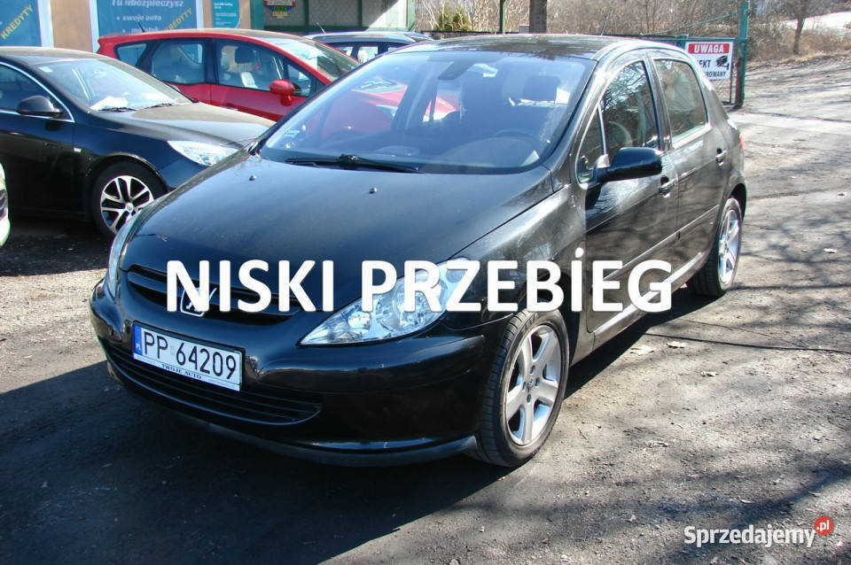 Peugeot 307 16 E 110 80000 stan listopad 2004 I światła przeciwmgielne 307 Piła sprzedam