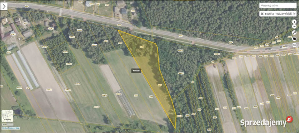 Działka rolnobudowlana z lasem 9300m2 Przeczów