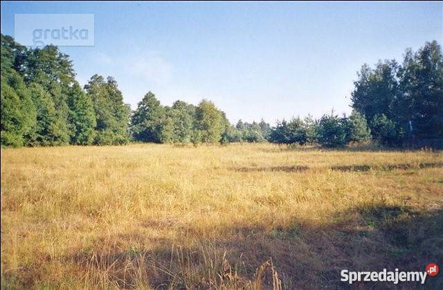 Działka siedliskowa Molendy dom drewniany 102 m2