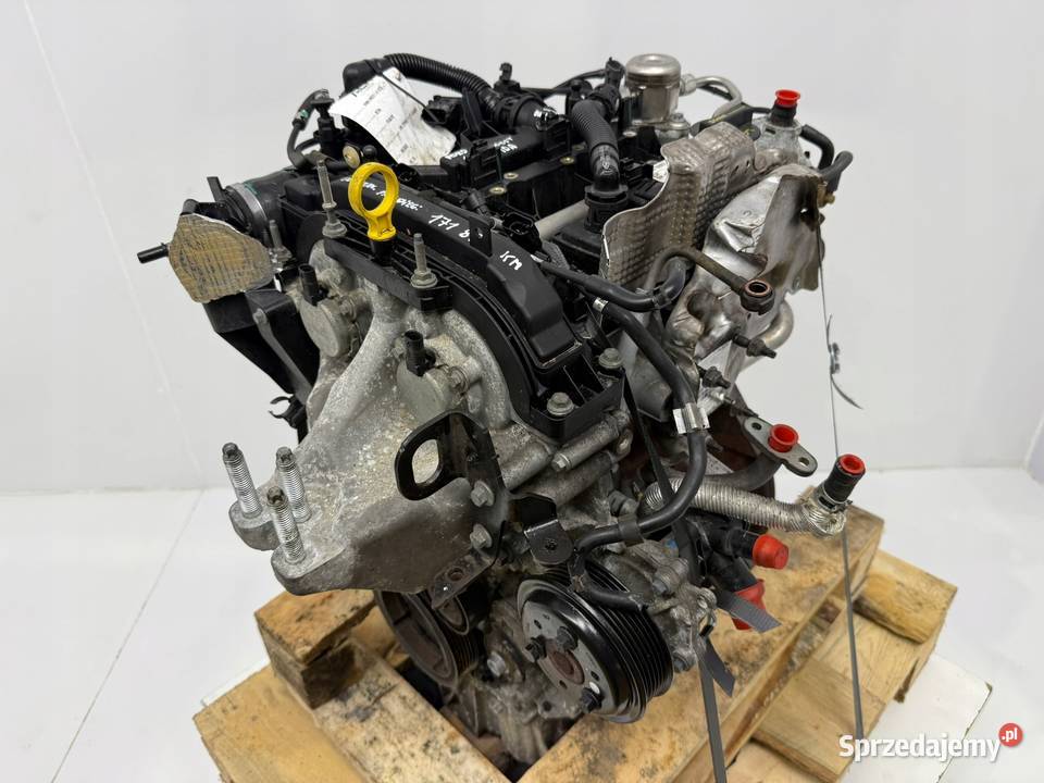 SILNIK M1DA Ford Focus III MK3 C C II 10 Silniki kompletne Chełm