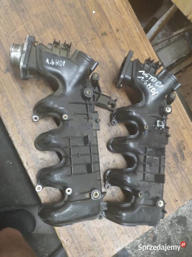CITROEN PEUGEOT 16HDI kolektor ssący sprzedam