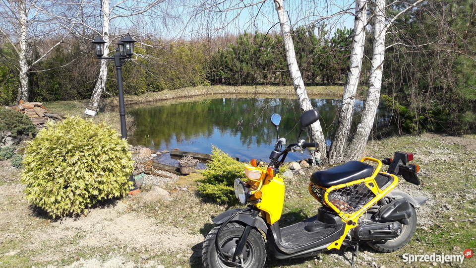 Honda Zoomer 50