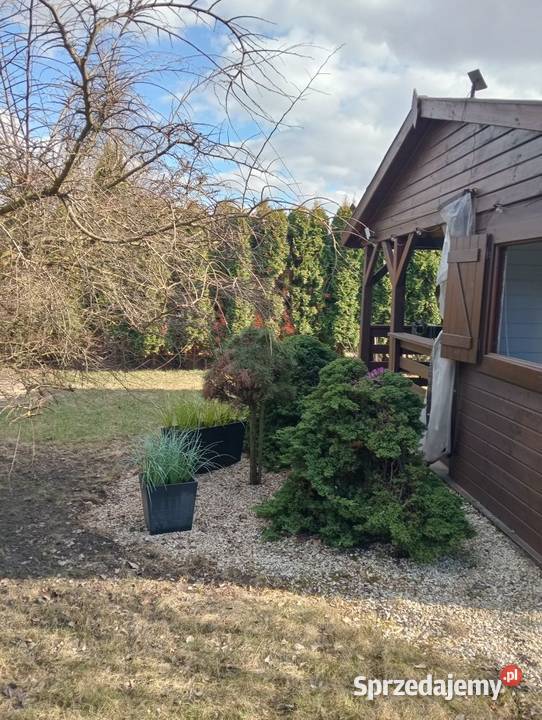 Działka 300m2 ROD Środa Wielkopolska