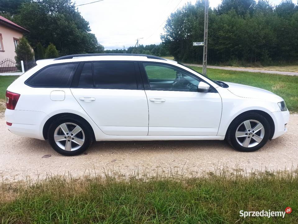 Skoda Octavia 4x4 20 diesel Szwajcaria dobrze biały świętokrzyskie Kielce