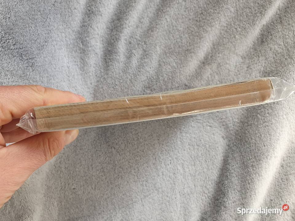 Record of Lodoss Wars The Lady of Pharis Ryo Japońskie