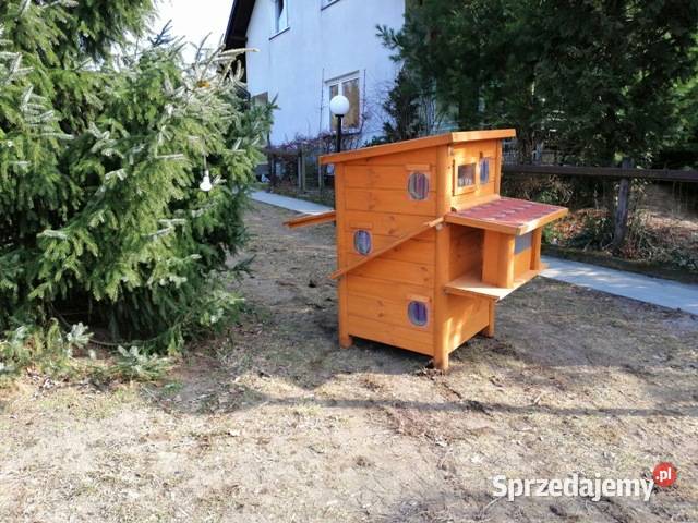 domk kotów Skierniewice