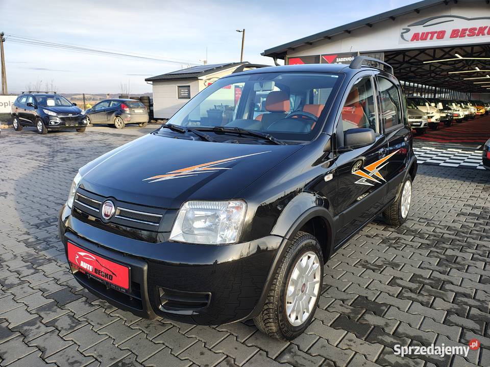 Fiat Panda 12Benzyna Napęd 4x4 Niski Przebieg benzyna Panda Zarszyn