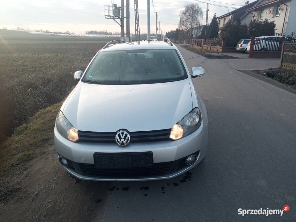 Volkswagen Golf VI 16 TDI 2010 Rok produkcji 2010 wielkopolskie Kalisz
