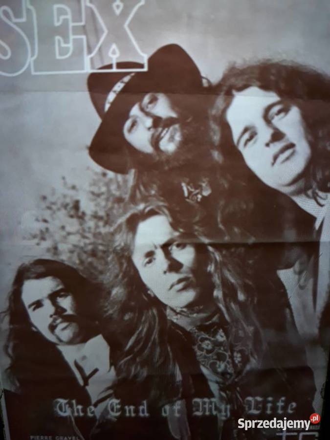 Biały kruk na czarnym winylu SEX The end of my Rzeszów sprzedam