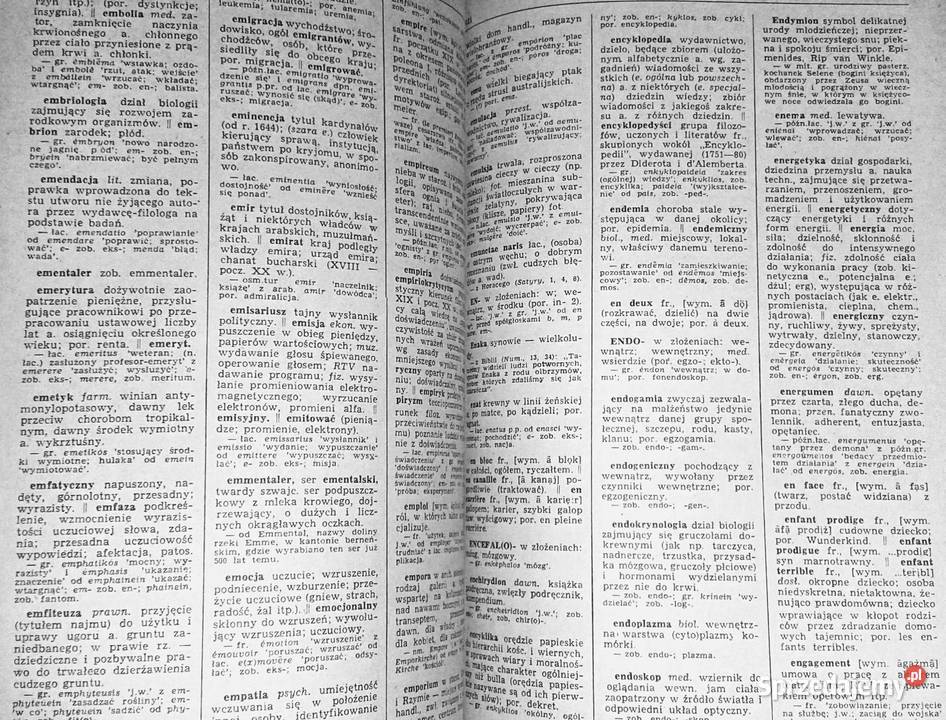 Słownik wyrazów obcych i zwrotów obcojęzycznych lubelskie Chełm sprzedam