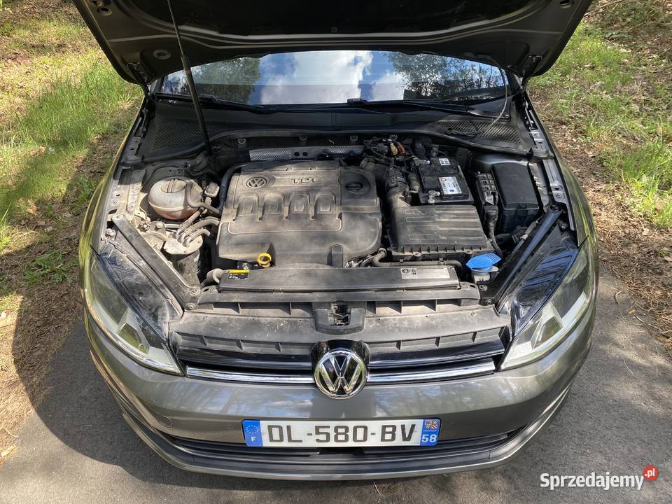 Volkswagen Golf VII 16 TDI 105 Navi Aktywny Kępno
