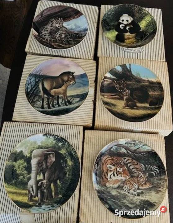 BRADEXRed WolfWildlife Society Will łódzkie Pabianice sprzedam