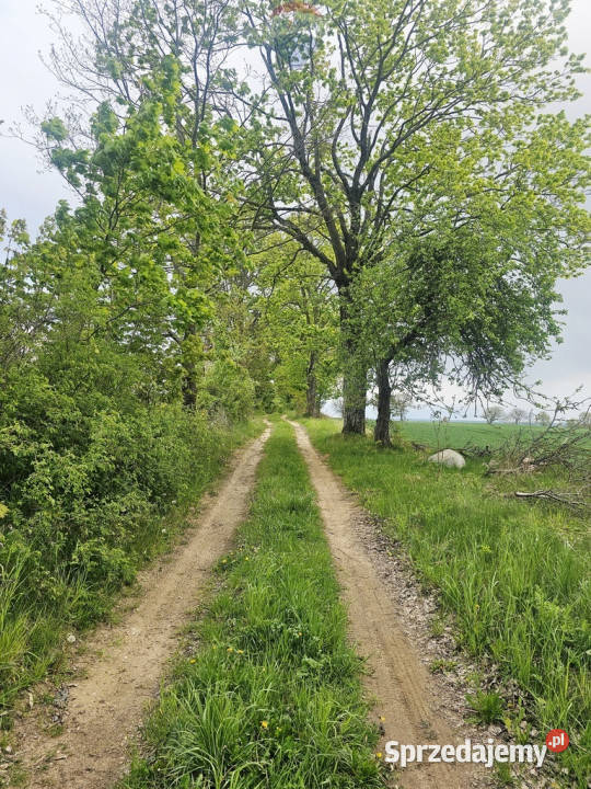 Ziemia rolna na sprzedaż Dębnik k Reszla 70m